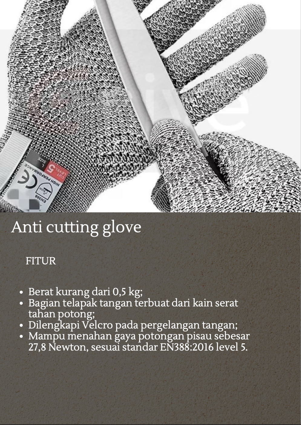 tidak ada gambar